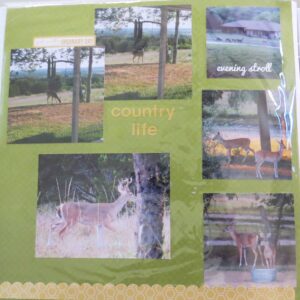 12 x 12 Scrapbook layout of countryside with deer